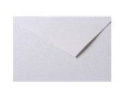 RR Папір д/пастелі 160гр др.зерно 100%цел. Tulipe Clairefontaine| 30х40см СІРИЙ СВІТЛИЙ