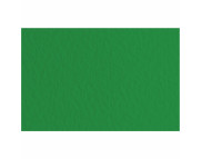 RR Папір д/пастелі 160г "Tiziano" Fabriano| А4 ЗЕЛЕНИЙ ТЕМНИЙ