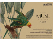 Альбом(спіраль) д/граф.150гр обкл.крафт Папуга Muse 30арк.А4 КРАФТ