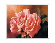 30х40см Н-р живопис за номерами "Троянди"(полотно/підр.+акрил.фарби.+пензель+інструкц)